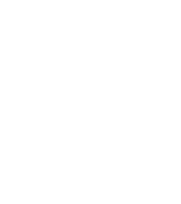 Print Logic Logo White