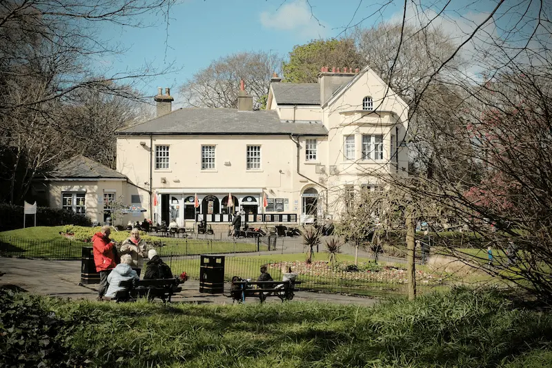 The Positivitree House