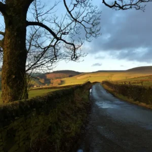 Printers and Photocopiers in Macclesfield